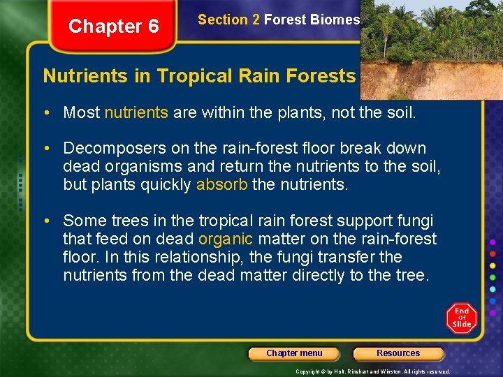 Chapter 6 Section 2 Forest Biomes Nutrients in Tropical Rain Forests • Most nutrients