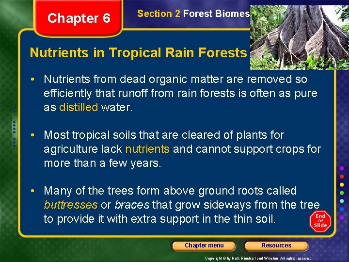 Chapter 6 Section 2 Forest Biomes Nutrients in Tropical Rain Forests • Nutrients from