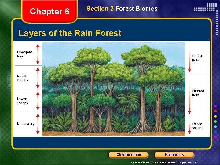 Chapter 6 Section 2 Forest Biomes Layers of the Rain Forest Chapter menu Resources