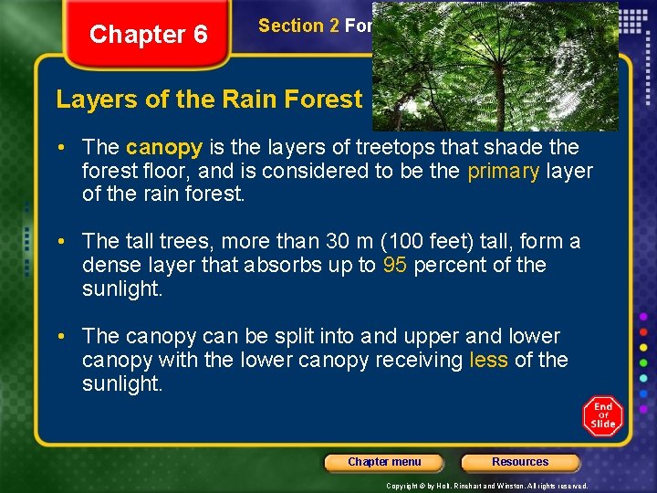 Chapter 6 Section 2 Forest Biomes Layers of the Rain Forest • The canopy