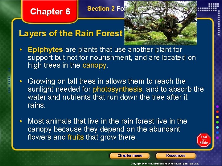 Chapter 6 Section 2 Forest Biomes Layers of the Rain Forest • Epiphytes are