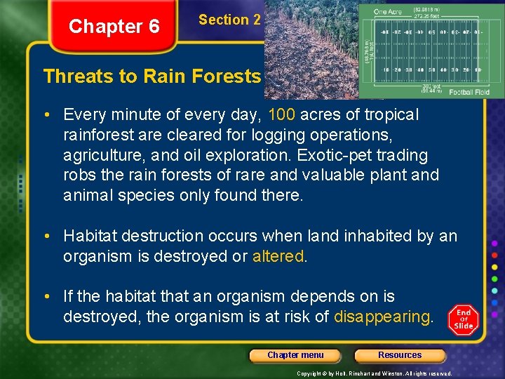 Chapter 6 Section 2 Forest Biomes Threats to Rain Forests • Every minute of