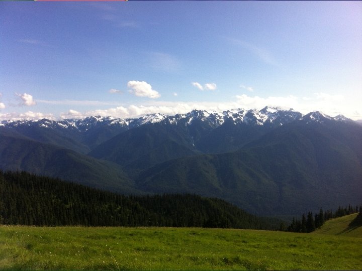 Chapter 6 Section 2 Forest Biomes Temperate Forests • Although located north of most