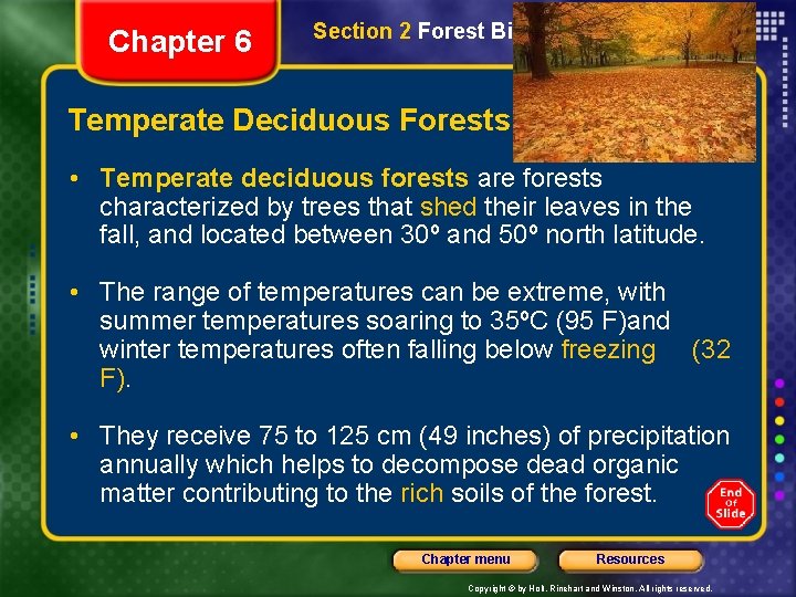 Chapter 6 Section 2 Forest Biomes Temperate Deciduous Forests • Temperate deciduous forests are