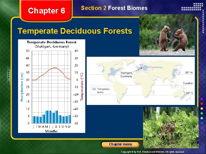 Chapter 6 Section 2 Forest Biomes Temperate Deciduous Forests Chapter menu Resources Copyright ©