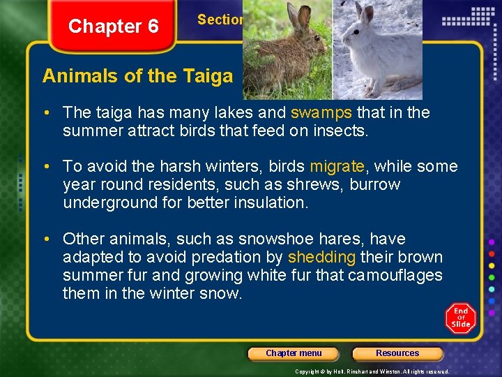 Chapter 6 Section 2 Forest Biomes Animals of the Taiga • The taiga has