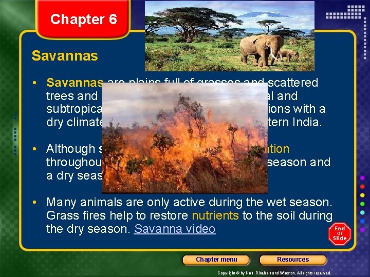 Chapter 6 Section 3 Grassland, Desert, and Tundra Biomes Savannas • Savannas are plains