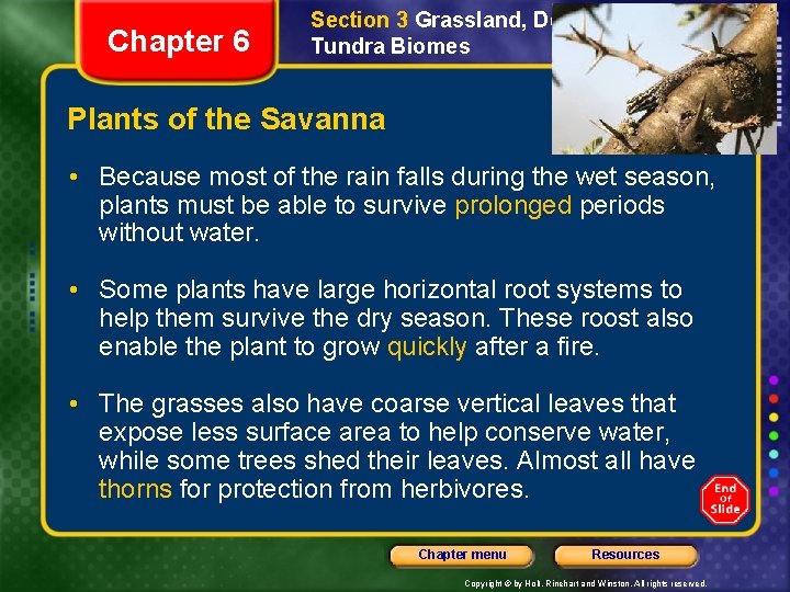 Chapter 6 Section 3 Grassland, Desert, and Tundra Biomes Plants of the Savanna •