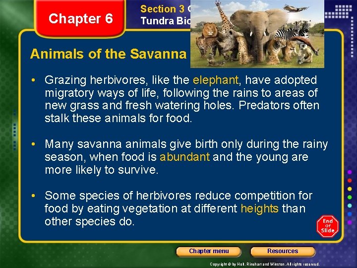 Chapter 6 Section 3 Grassland, Desert, and Tundra Biomes Animals of the Savanna •