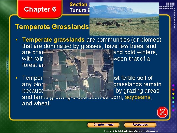Chapter 6 Section 3 Grassland, Desert, and Tundra Biomes Temperate Grasslands • Temperate grasslands