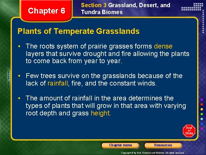 Chapter 6 Section 3 Grassland, Desert, and Tundra Biomes Plants of Temperate Grasslands •