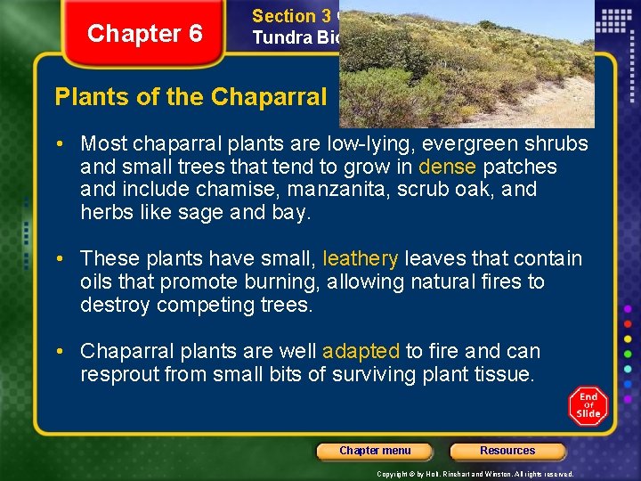 Chapter 6 Section 3 Grassland, Desert, and Tundra Biomes Plants of the Chaparral •