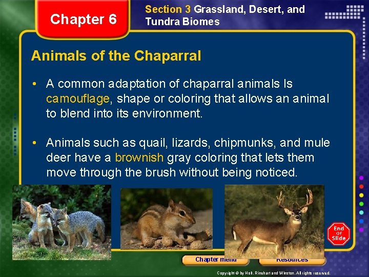 Chapter 6 Section 3 Grassland, Desert, and Tundra Biomes Animals of the Chaparral •
