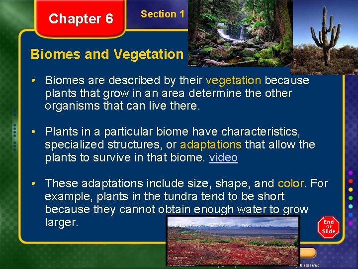 Chapter 6 Section 1 What Is a Biome? Biomes and Vegetation • Biomes are