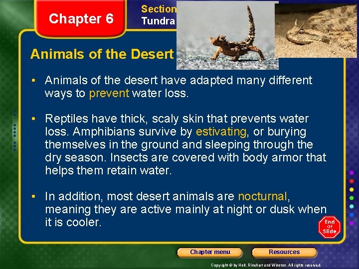 Chapter 6 Section 3 Grassland, Desert, and Tundra Biomes Animals of the Desert •