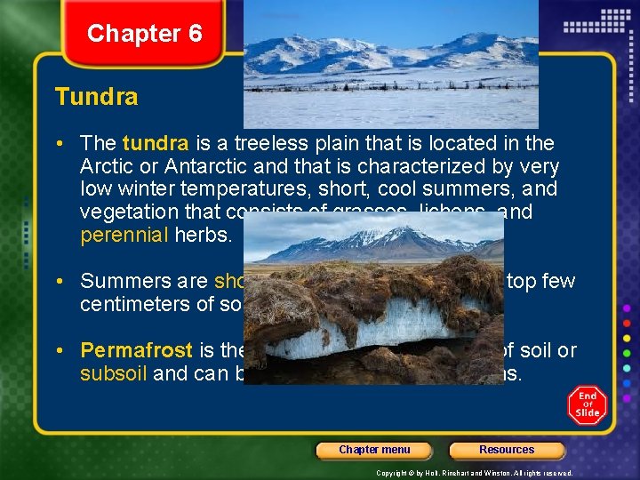Chapter 6 Section 3 Grassland, Desert, and Tundra Biomes Tundra • The tundra is