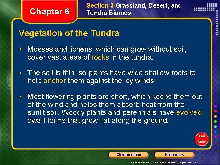 Chapter 6 Section 3 Grassland, Desert, and Tundra Biomes Vegetation of the Tundra •