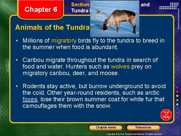 Chapter 6 Section 3 Grassland, Desert, and Tundra Biomes Animals of the Tundra •
