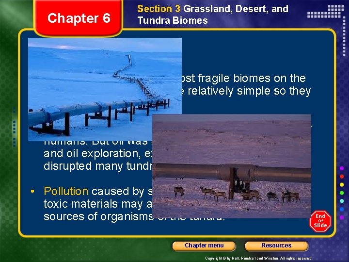 Chapter 6 Section 3 Grassland, Desert, and Tundra Biomes Threats to the Tundra •