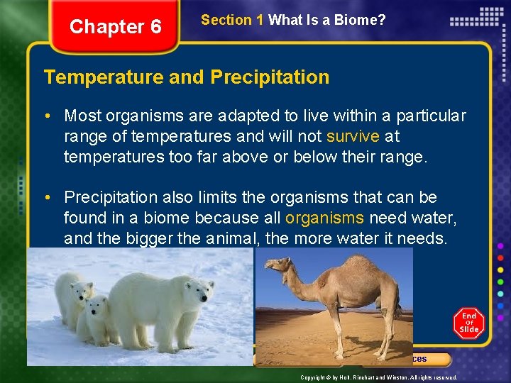 Chapter 6 Section 1 What Is a Biome? Temperature and Precipitation • Most organisms