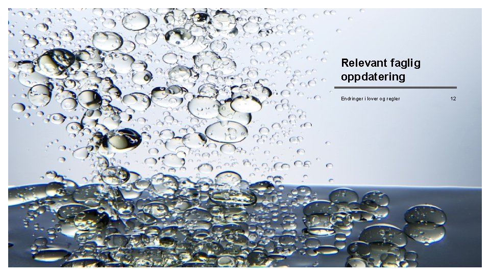 © 2017 Deloitte LLP. All rights reserved. Relevant faglig oppdatering Endringer i lover og
