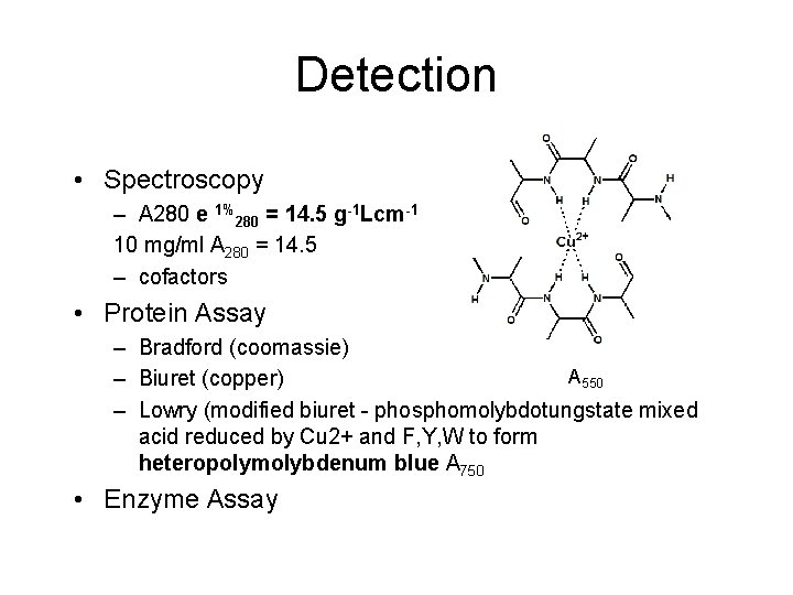 Detection • Spectroscopy – A 280 e 1%280 = 14. 5 g-1 Lcm-1 10