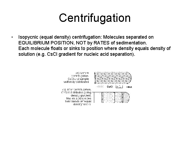 Centrifugation • Isopycnic (equal density) centrifugation: Molecules separated on EQUILIBRIUM POSITION, NOT by RATES