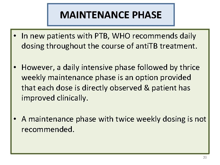 MAINTENANCE PHASE • In new patients with PTB, WHO recommends daily dosing throughout the MAINTENANCE PHASE • In new patients with PTB, WHO recommends daily dosing throughout the