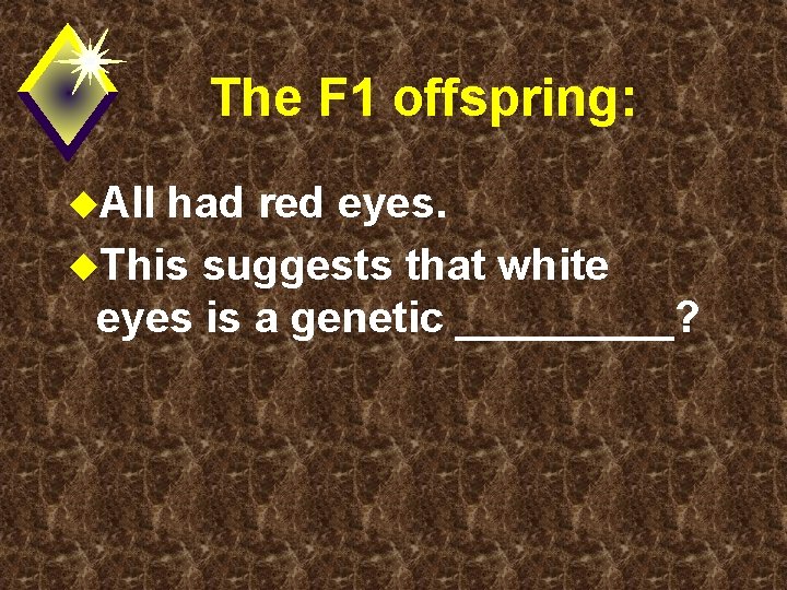 The F 1 offspring: u. All had red eyes. u. This suggests that white