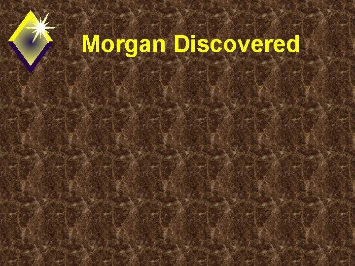 Morgan Discovered 
