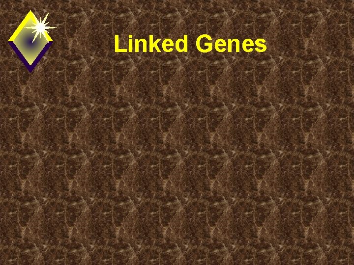 Linked Genes 