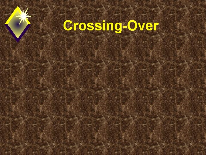 Crossing-Over 