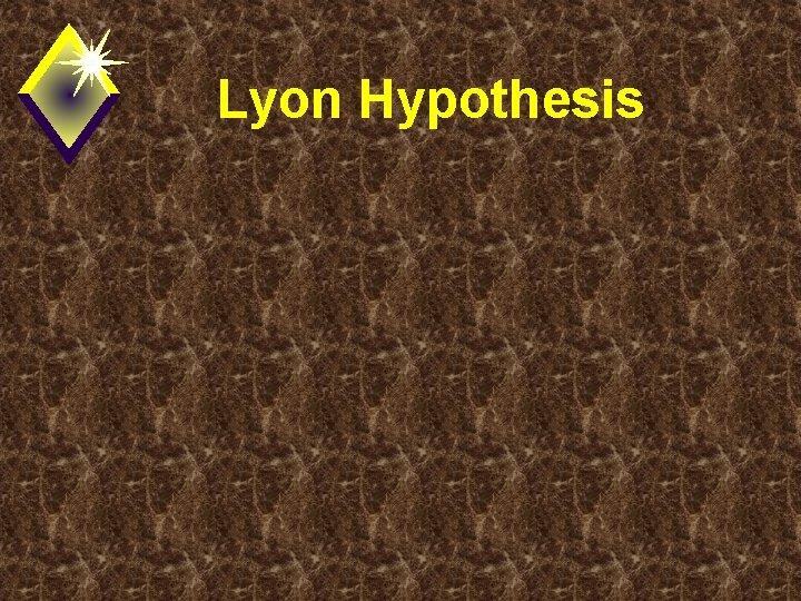 Lyon Hypothesis 