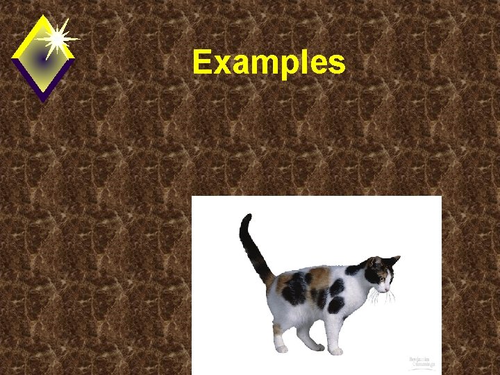 Examples 