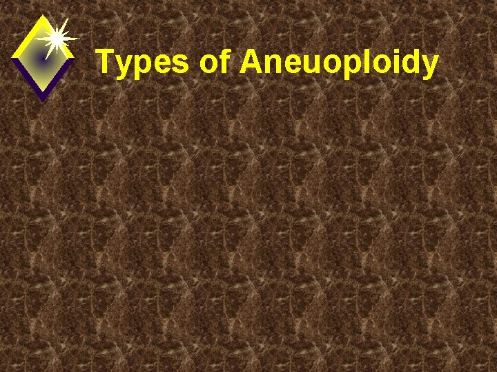 Types of Aneuoploidy 