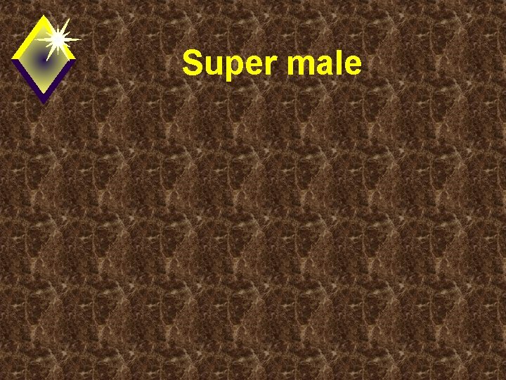 Super male 