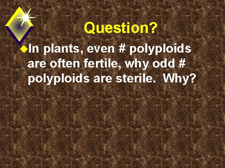 Question? u. In plants, even # polyploids are often fertile, why odd # polyploids