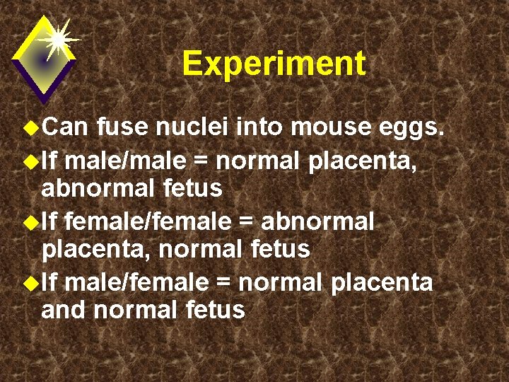 Experiment u. Can fuse nuclei into mouse eggs. u. If male/male = normal placenta,