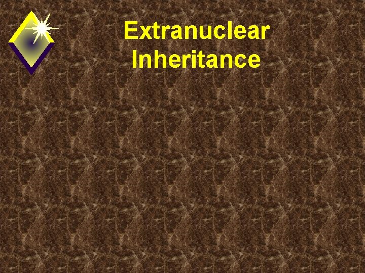 Extranuclear Inheritance 