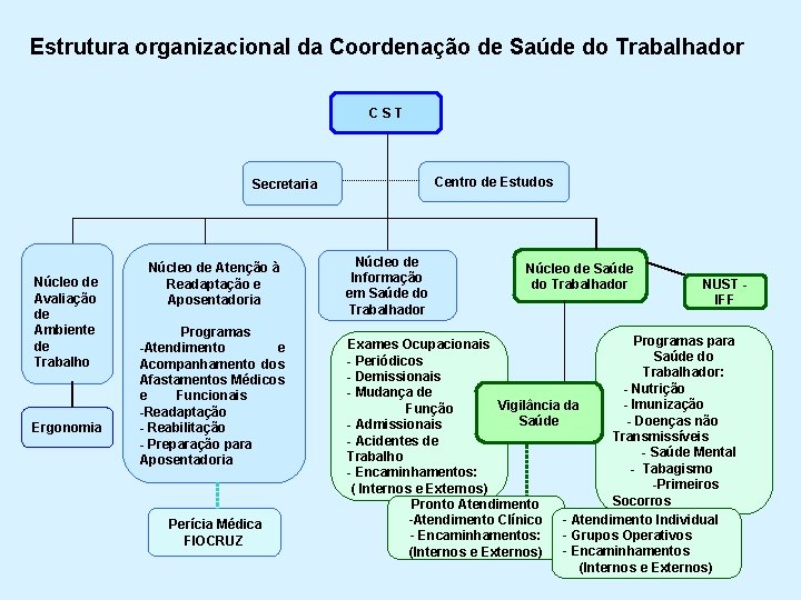 Estrutura organizacional da Coordenação de Saúde do Trabalhador C S T Centro de Estudos