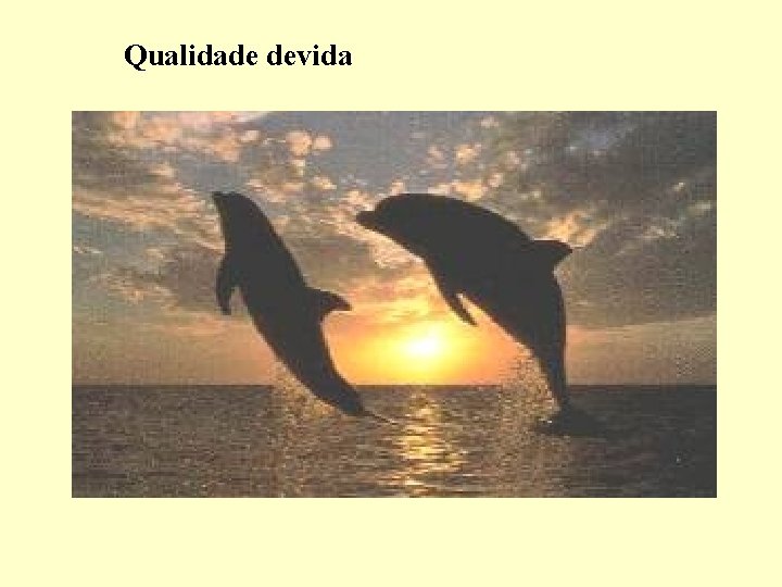 Qualidade devida 