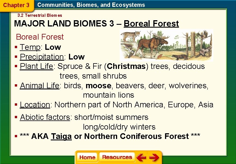 Chapter 3 Communities, Biomes, and Ecosystems 3. 2 Terrestrial Biomes MAJOR LAND BIOMES 3