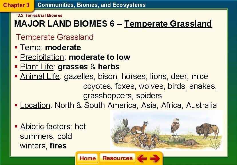 Chapter 3 Communities, Biomes, and Ecosystems 3. 2 Terrestrial Biomes MAJOR LAND BIOMES 6