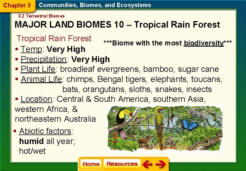 Chapter 3 Communities, Biomes, and Ecosystems 3. 2 Terrestrial Biomes MAJOR LAND BIOMES 10