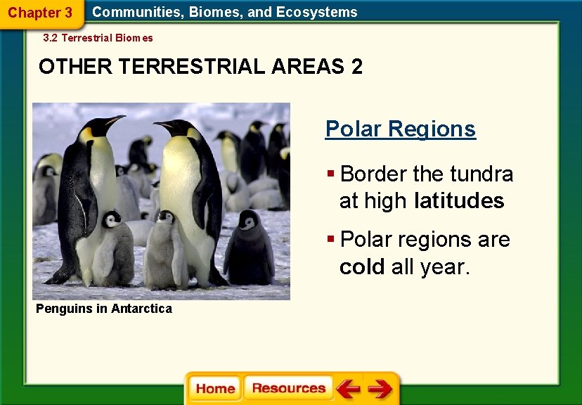 Chapter 3 Communities, Biomes, and Ecosystems 3. 2 Terrestrial Biomes OTHER TERRESTRIAL AREAS 2