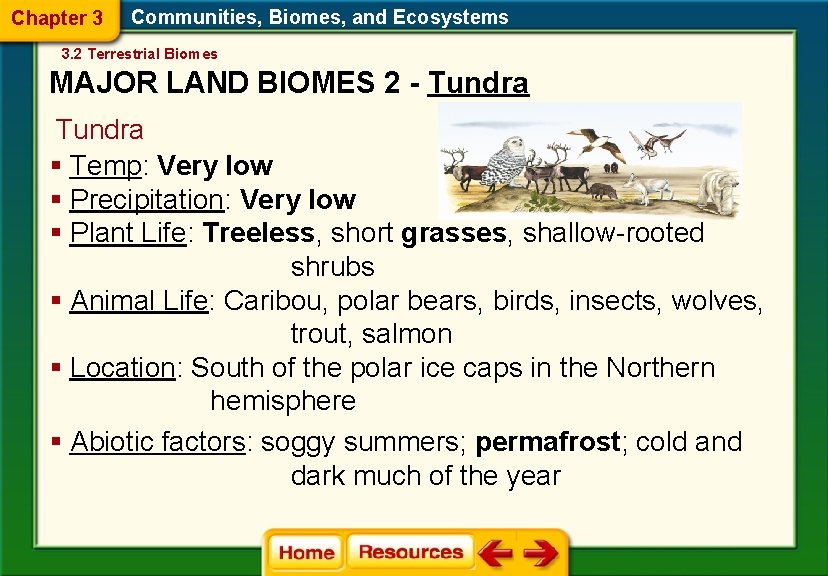 Chapter 3 Communities, Biomes, and Ecosystems 3. 2 Terrestrial Biomes MAJOR LAND BIOMES 2