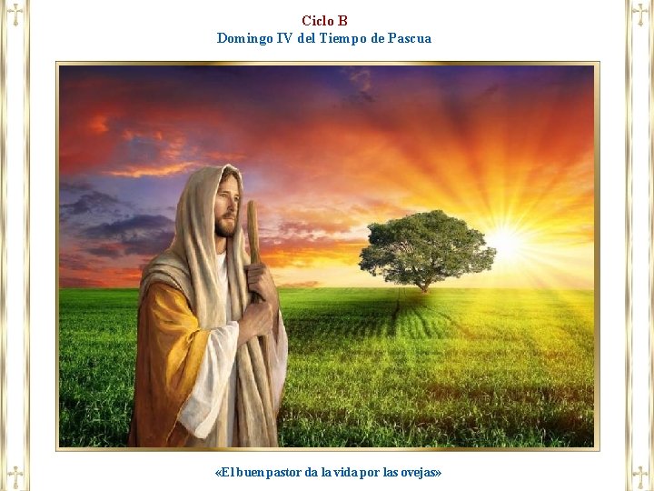 Ciclo B Domingo IV del Tiempo de Pascua «El buen pastor da la vida