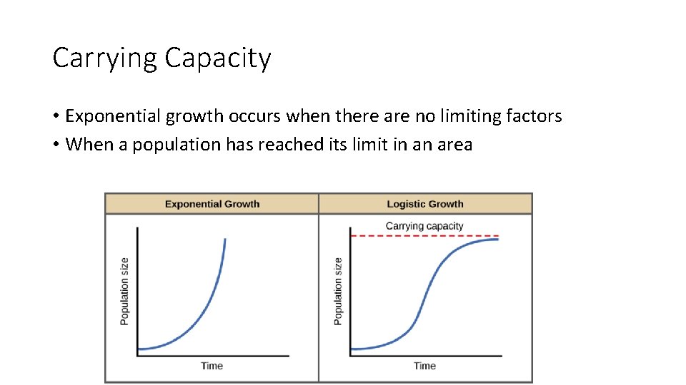 Carrying Capacity • Exponential growth occurs when there are no limiting factors • When