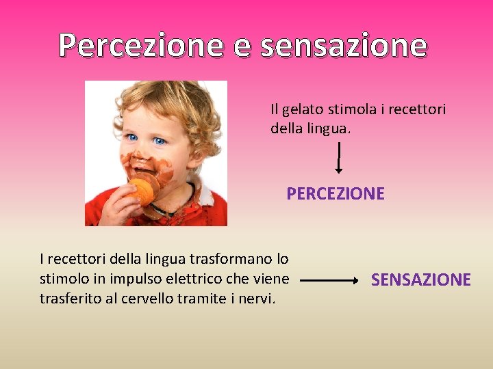 Percezione e sensazione Il gelato stimola i recettori della lingua. PERCEZIONE I recettori della