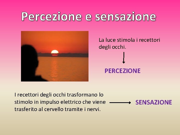 Percezione e sensazione La luce stimola i recettori degli occhi. PERCEZIONE I recettori degli